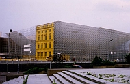 scaffold